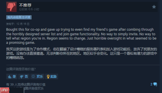 《Raiders of Blackveil》Steam首发褒贬不一 玩家：土豆服务器还敢强制联网？