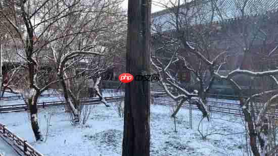 《黑神话：悟空》杨奇晒雪景图：风骚作诗一首！