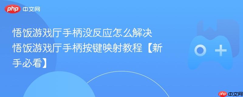 悟饭游戏厅手柄问题解决方案及按键映射教程（新手必读）