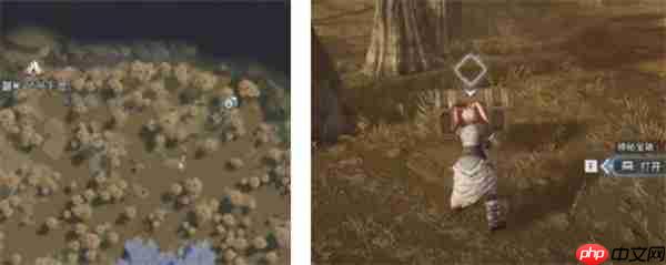 荒原曙光瘴气沼泽隐藏宝箱全收集汇总