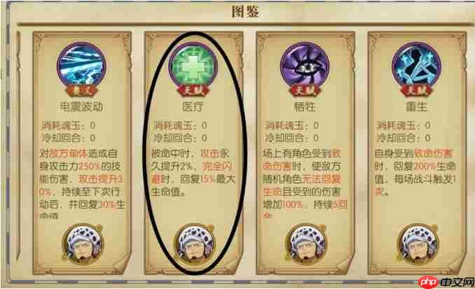 航海王燃烧意志航路探险和之国罗buff推荐