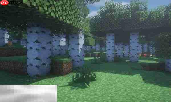 MC透视技巧，如何找到隐藏的矿石