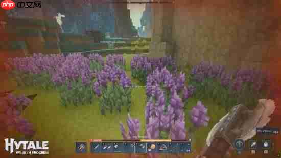 原属拳头的像素沙盒RPG《Hytale》16分钟实机演示