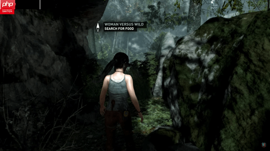 《古墓丽影9》NS和NS2对比：分辨率和帧率差距明显