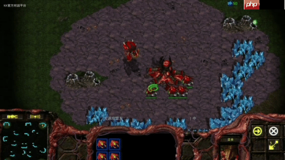 KK官方对战平台星际万人房重磅上线，重塑对战体验，天梯奖金赛即将开启！