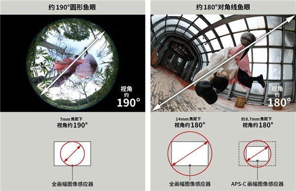佳能发布全画幅鱼眼镜头：190°视角 + 180°VR